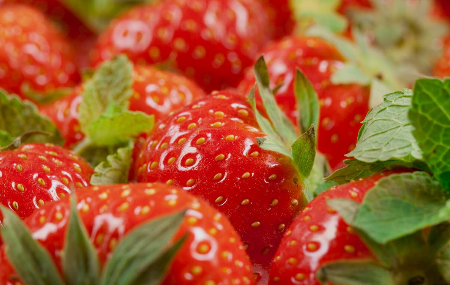 Erdbeeren lose Erdbeerland Ernst & Funck