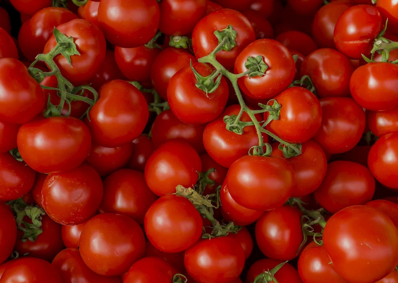 Rote Tomaten Erdbeerland Ernst & Funck