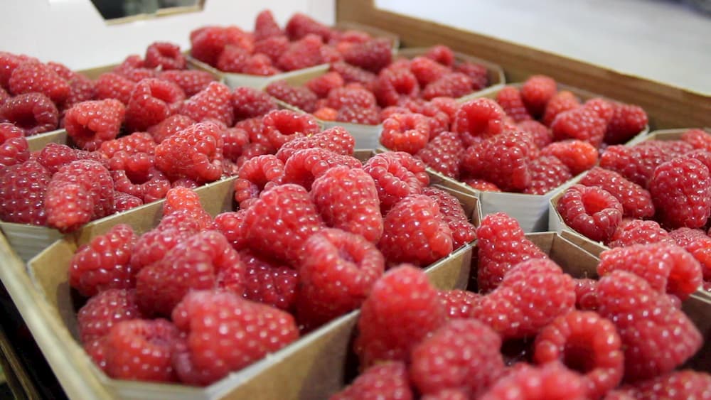 Bild von Himbeeren in Schalen von Erdbeerland Ernst & Funck