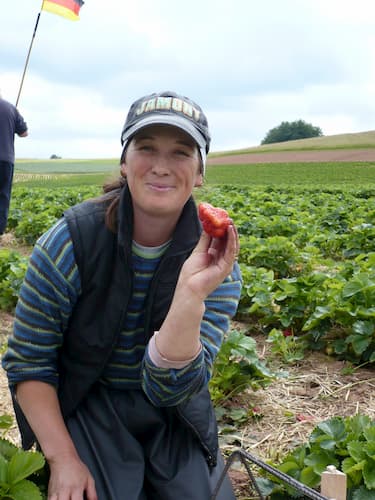 Mitarbeiterin hält Erdbeere in der Hand auf einem Feld Erdbeerfeld von Erdbeerland Ernst & Funck