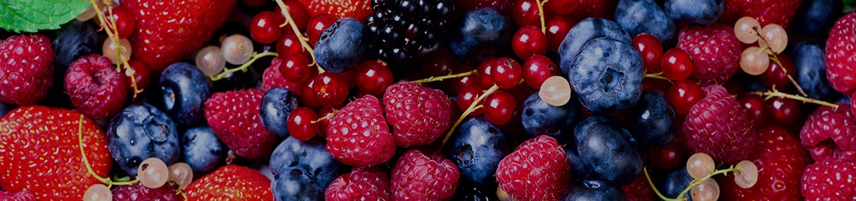 Rote Früchte Mix Himbeeren Erdbeeren Brombeeren Heidelbeeren Johannisbeeren von Erdbeerland Ernst & Funck