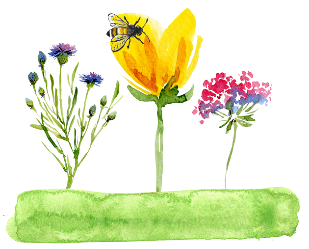 Gemaltes Bild von Blumen und einer Biene Wasserfarben Erdbeerland Ernst & Funck