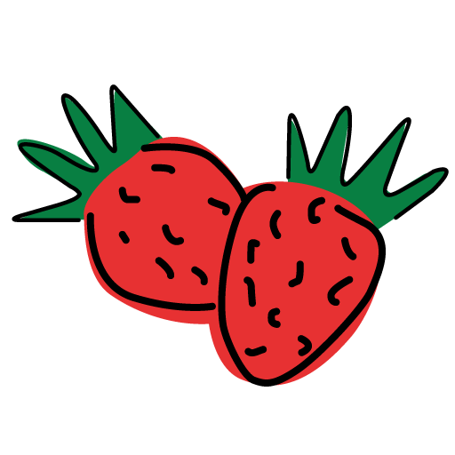 Logo Erdbeerland Ernst & Funck Favicon Fav Icon