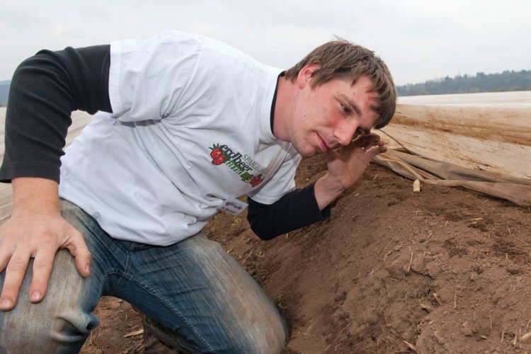 Mark Bernauer hört dem Weißen Spargel beim Wachsen zu Erdbeerland Ernst & Funck