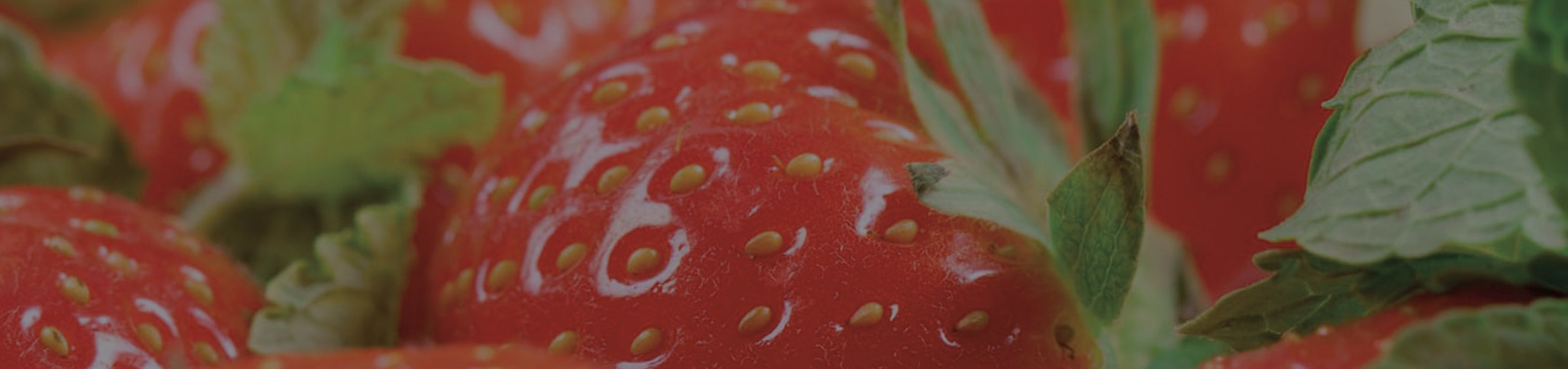 Erdbeeren Erdbeerland Ernst & Funck