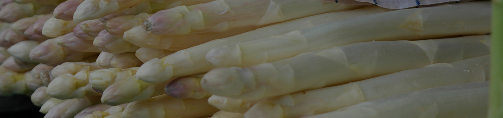 Weißer Spargel von Erdbeerland Ernst & Funck servierfertig