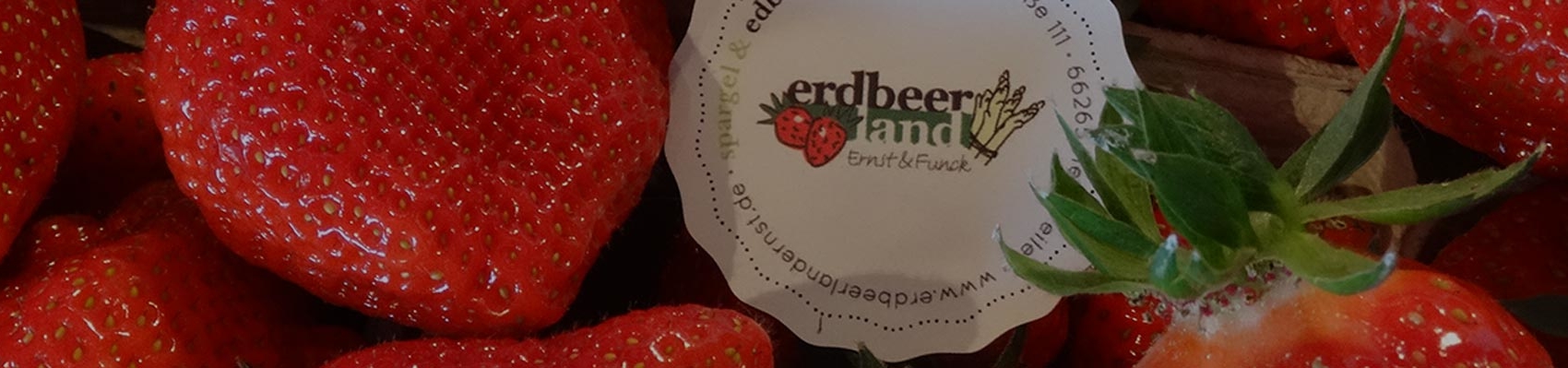 Erdbeeren im Verkauf Erdbeerland Ernst & Funck