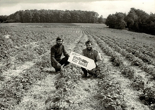 Altes Foto 1986 Herr Ernst und Herr Funck auf einem Selbstpflückfeld von Erdbeerland Ernst & Funck