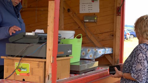 Kundin am Selbstpflückstand für Erdbeeren im Saarland