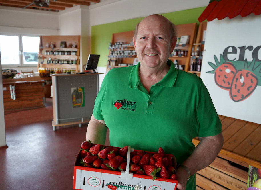 Erdbeerverkäufer mit frischen Erdbeeren im Saarland bei Erdbeerland Ernst