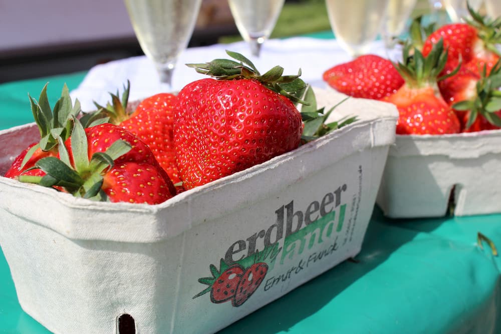 Frische Erdbeeren in Schälchen von Erdbeerland Ernst&Funck