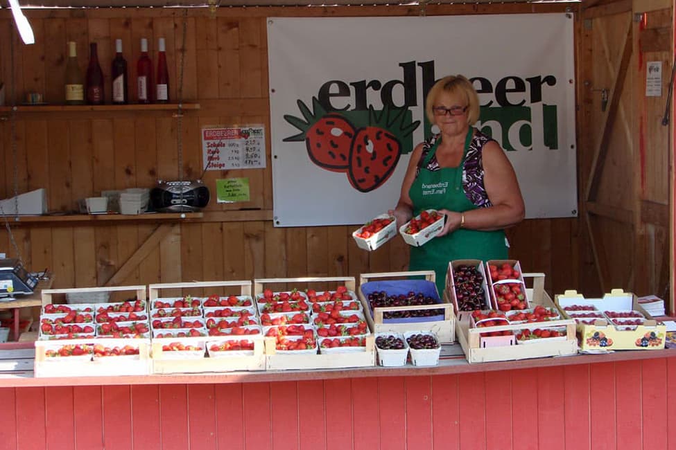 Erdbeerland Stand frische Beeren kaufen