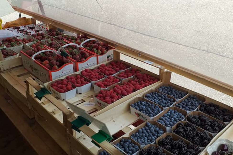 Verschiedene Beerensorten werden am Stand verkauft