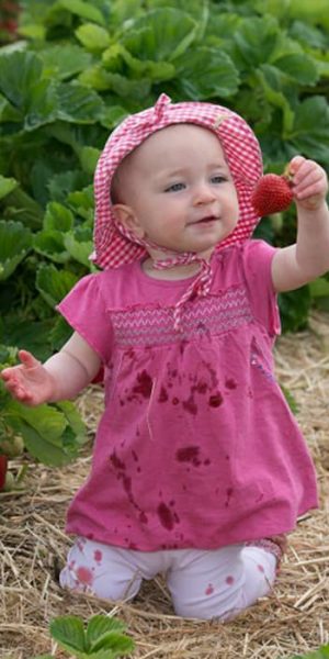 kleines Mädchen pflückt Erdbeere